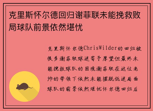克里斯怀尔德回归谢菲联未能挽救败局球队前景依然堪忧 克里斯怀尔德回归谢菲联未能挽救败局球队前景依然堪忧